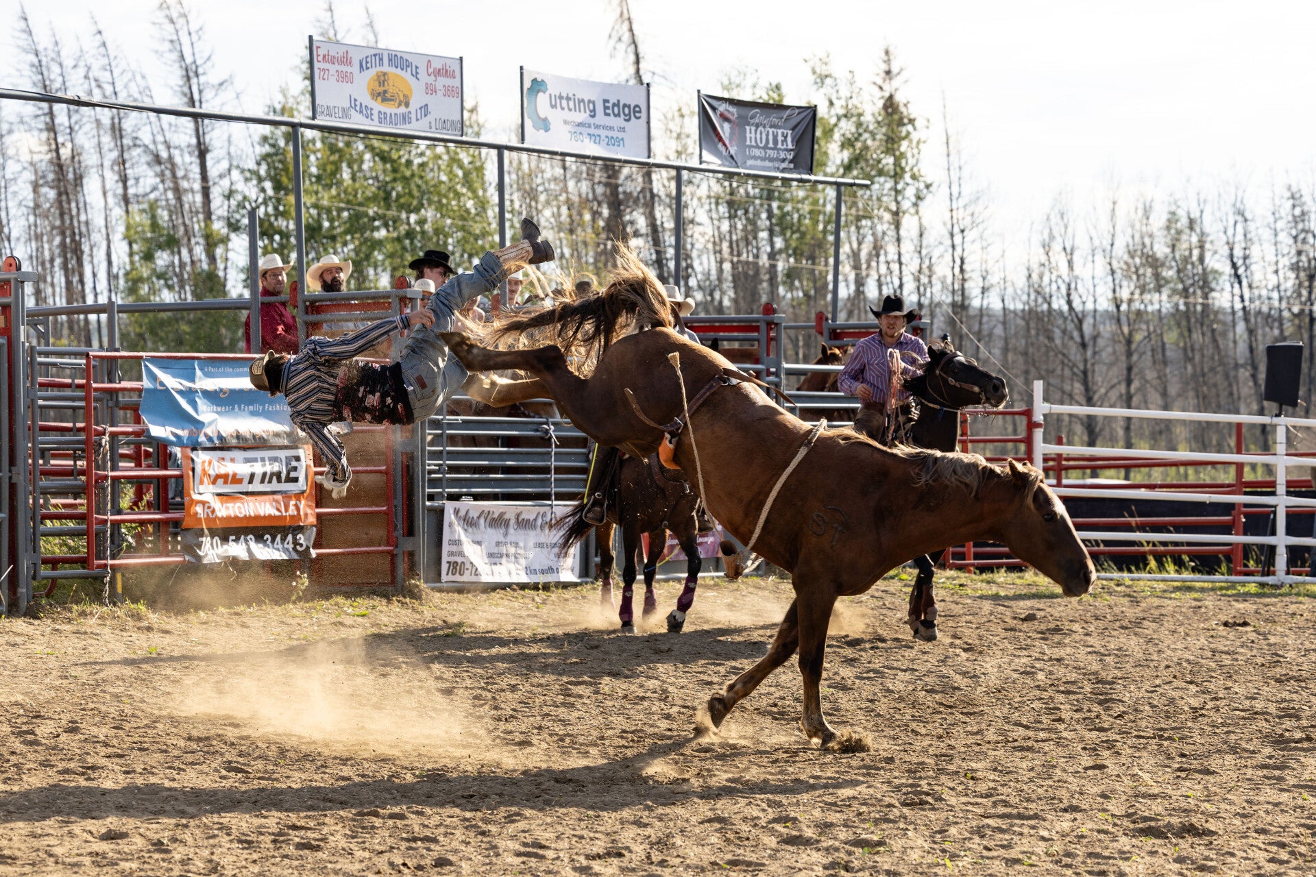 Food trucks at the Entwistle Rodeo